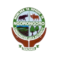 Kilimanjaro Porters Assistance Project Logo